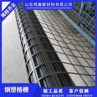 景德鎮(zhèn)鋼塑土工格柵-實體工廠